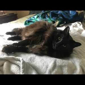 Meet your Posher, Jacob